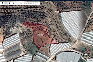 Agricultural ground good for investment for sale in Alanya alanya
