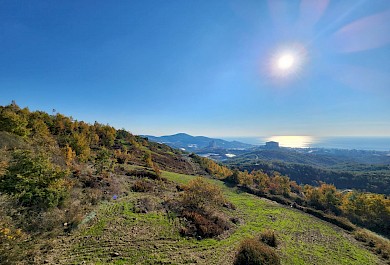 Twin Parcels in Mahmutlar Karahasanlı Area | Can be Sold Together or Separately alanya 