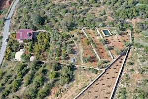 Yeşilöz’de 3752 m² Meyve Bahçeli İki Katlı Müstakil Ev – Denize 800 m alanya
