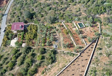 Yeşilöz’de 3752 m² Meyve Bahçeli İki Katlı Müstakil Ev – Denize 800 m alanya 